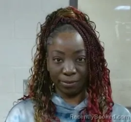 Mugshot of DESIRAY ROBINSON