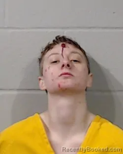 Mugshot of KAILEY ELIZABETH CHAPMAN