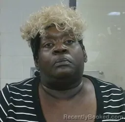 Mugshot of NICOLE MECHELLE TISDALE