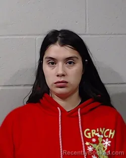 Mugshot of JULIA NICOLE LEARY