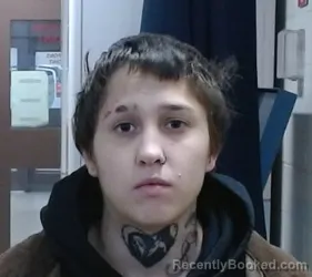 Mugshot of KAITLYN MACKENZIE HAYES