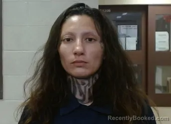 Mugshot of KIMBERLIE ELISABETH AKEIKO DAMRON booked in Sedgwick County, Kansas on March 26, 2026