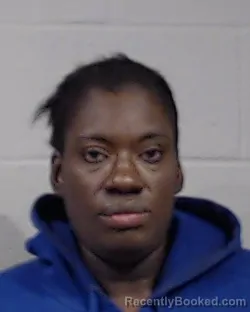 Mugshot of KIERRA NICOLE RICHARDSON booked in Sedgwick County, Kansas on March 24, 2026