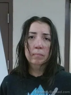 Mugshot of RACHEL NICOLE JAMES