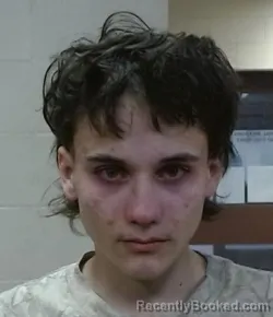 Mugshot of NATHANIEL MICHAEL GEHRER booked in Sedgwick County, Kansas on March 25, 2026