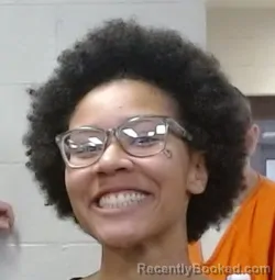 Mugshot of DANYALE SHAMIRA WILLIAMS booked in Sedgwick County, Kansas on March 24, 2026