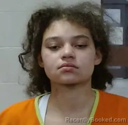 Mugshot of ROSEMARY ERMINDA AUSTIN