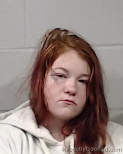 Mugshot of CHEYENNE LEE PAMP