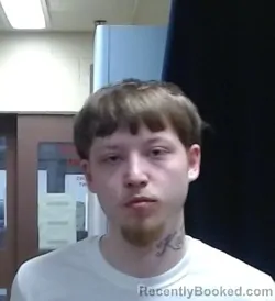 Mugshot of GAUGE GRAY BRASHER booked in Sedgwick County, Kansas on March 24, 2026