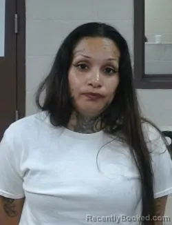 Mugshot of SOFIA MONIQUE BERNAL SALDIVAR booked in Sedgwick County, Kansas on April 16, 2026