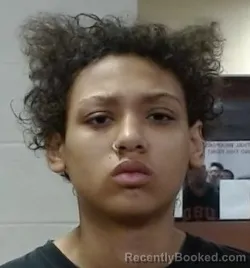 Mugshot of BRYNLEE RAE BROWN