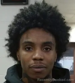 Mugshot of SKYYTAVIOUS D WHEELER