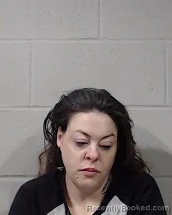 Mugshot of SHANDI ELIZABETH DEBOARD