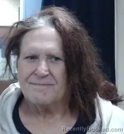 Mugshot of DAVID LEE NELSON