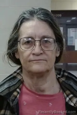 Mugshot of ROBIN LOUISE BROWN