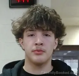 Mugshot of CARSON LEE AKINS