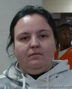 Mugshot of BRIANNA ALYSIA FLANEGIN booked in Sedgwick County, Kansas on March 17, 2026