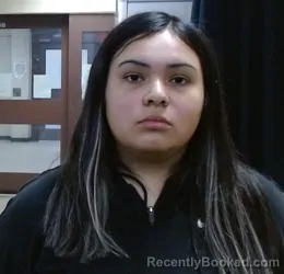 Mugshot of ALEJANDRA SILERIO-GARCIA