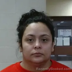 Mugshot of GUADALUPE VASQUEZ booked in Sedgwick County, Kansas on March 12, 2026