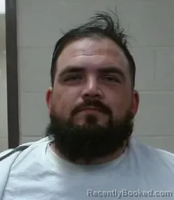 Mugshot of DAVID ARON POWELL