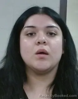 Mugshot of LESLEY VILLANUEVA-QUEZADA booked in Sedgwick County, Kansas on March 22, 2026