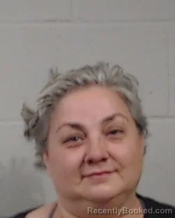 Mugshot of DIANE FAYE PHILLIPS booked in Sedgwick County, Kansas on March 22, 2026