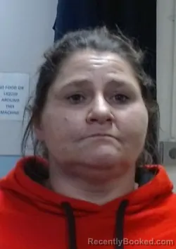 Mugshot of BRANDI LYNN FRERKING booked in Sedgwick County, Kansas on March 23, 2026