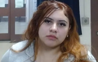 Mugshot of MARIANA GARCIA