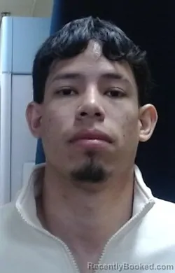 Mugshot of ISRAEL JOSE MORIN CANELONES