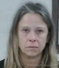 Mugshot of ELIZABETH REANN HENNESSEY booked in Sedgwick County, Kansas on April 17, 2026