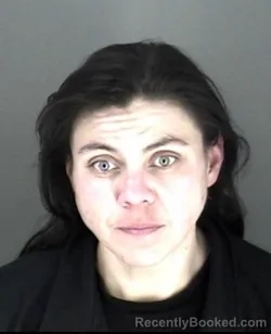 Mugshot of Vanessa Monica Colunga