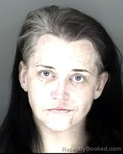 Mugshot of Jessica Lyn Motsinger