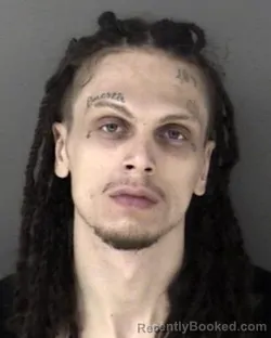 Mugshot of Justin Byron Edgar Sims