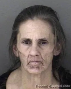 Mugshot of Donna Lynette Chrisman
