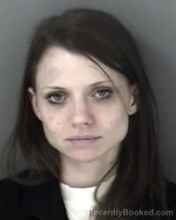 Mugshot of Taylor Renee Hollis