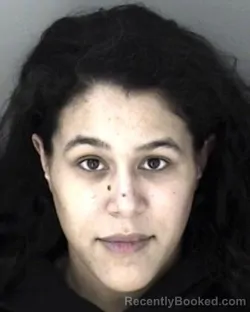 Mugshot of Sarah Alexis Kneuper