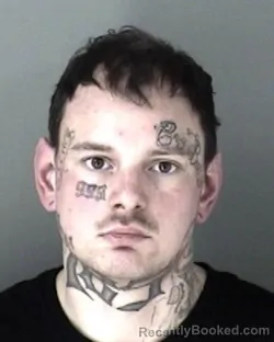 Mugshot of Tieler Alan Lay