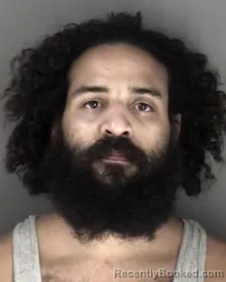 Mugshot of Dalton Terrell Williams