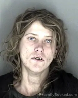 Mugshot of Kimberly Ann George