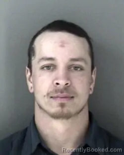 Mugshot of Shelby Gene Thomas Stough