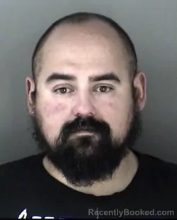 Mugshot of Gabriel Palma