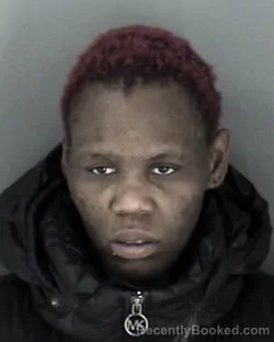 Mugshot of Mishelle Janea Beaver