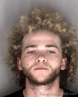 Mugshot of Kai Braden Gillis