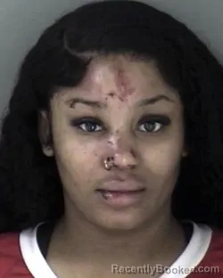 Mugshot of Sarah Nay Gardenhire