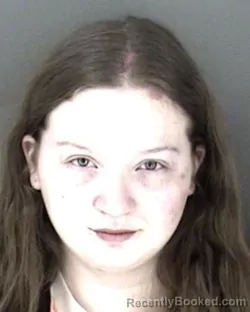 Mugshot of Alison Kay Brohaugh