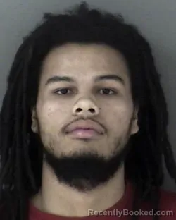 Mugshot of Michael Alan Junior Hetrick