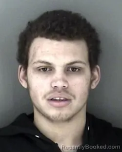 Mugshot of Adam Christopher Junior Birch