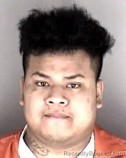Mugshot of Joeson Santos