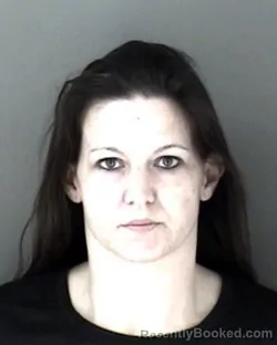 Mugshot of Stephanie Renee Lewis