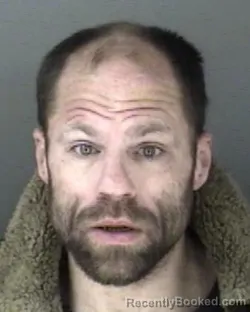 Mugshot of Shea Darnell Terry